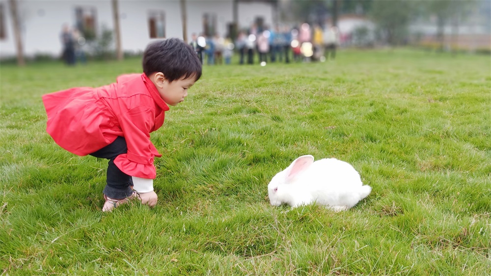 親子動物樂園